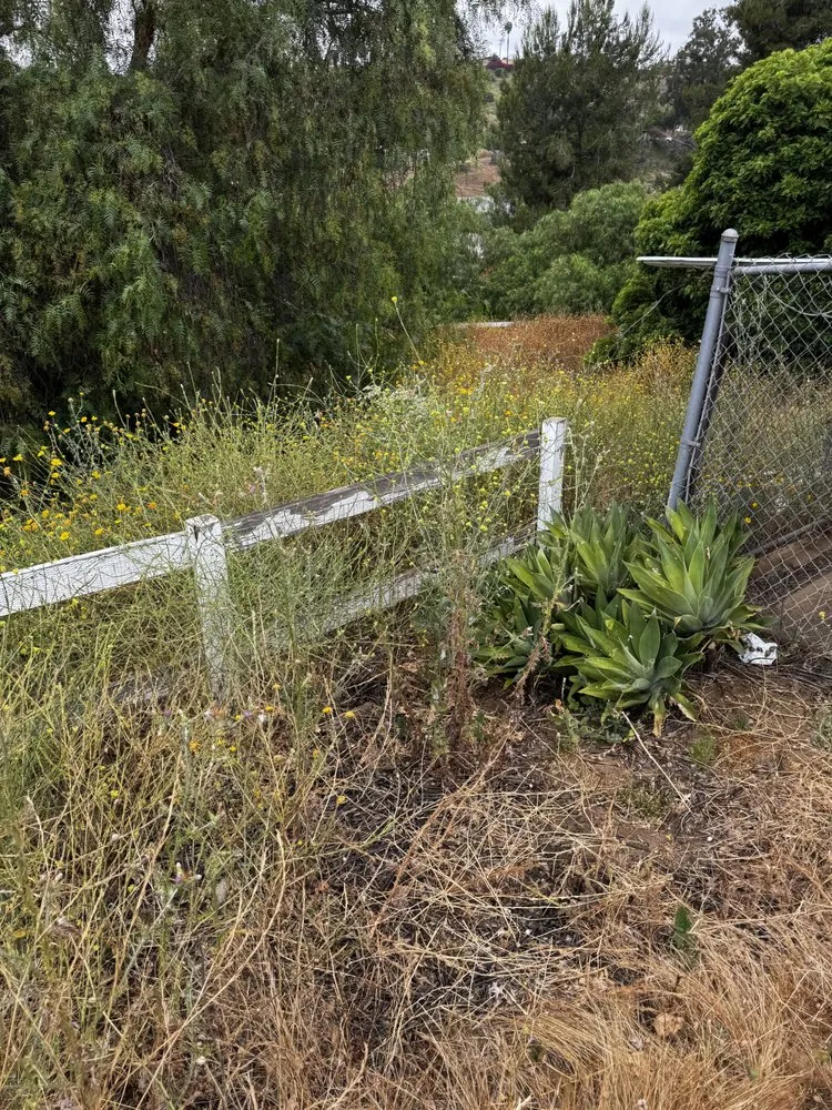 Custom yard maintenance experts serving Fallbrook, CA - Fierro Brother’s Landscape