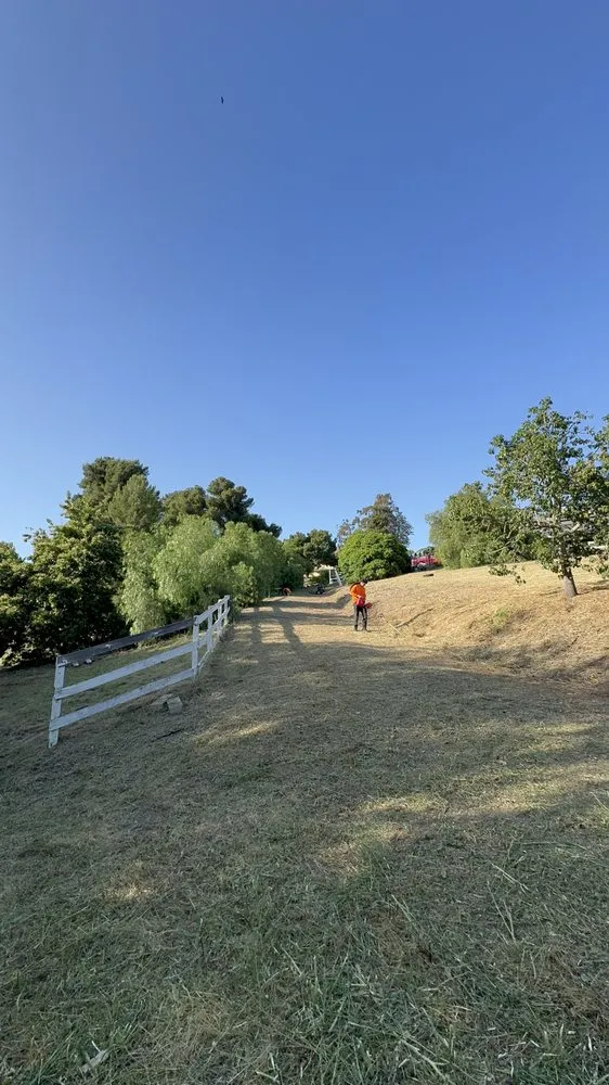 Top-rated yard maintenance in Fallbrook, CA by Fierro Brother’s Landscape