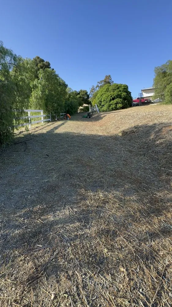 Reliable lawn care service for year-round maintenance in Fallbrook, CA by Fierro Brother’s Landscape