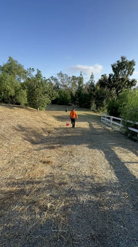 Reliable yard maintenance in Fallbrook, CA by Fierro Brother’s Landscape