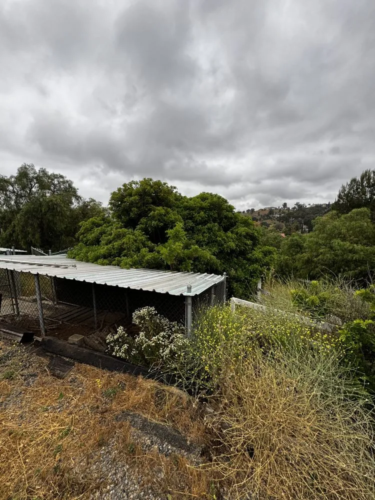 Top-rated landscaping services in Fallbrook, CA - Fierro Brother’s Landscape