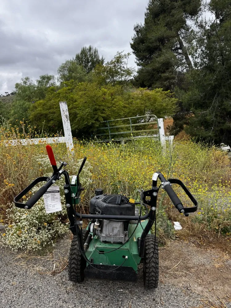 Expert yard cleanup service for year-round maintenance in Fallbrook, CA by Fierro Brother’s Landscape