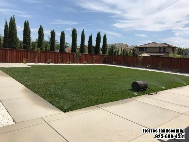 Custom yard maintenance in Antioch, CA by Fierros Landscaping