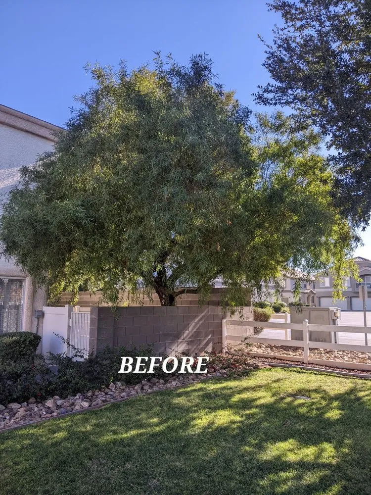 Trusted lawn mowing service for outdoor upgrades in North Las Vegas, NV by Fierros Services