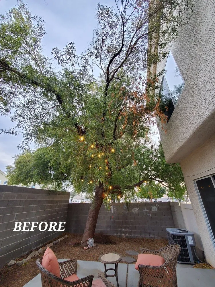 Reliable outdoor landscaping for residential properties across North Las Vegas, NV - Fierros Services