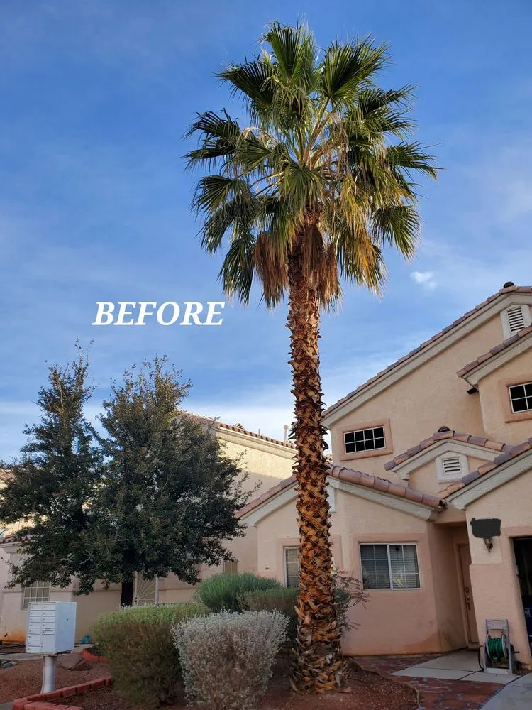 Trusted garden landscaping for homes in North Las Vegas, NV by Fierros Services