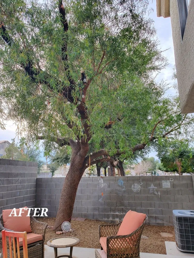 Local lawn care service experts serving North Las Vegas, NV - Fierros Services