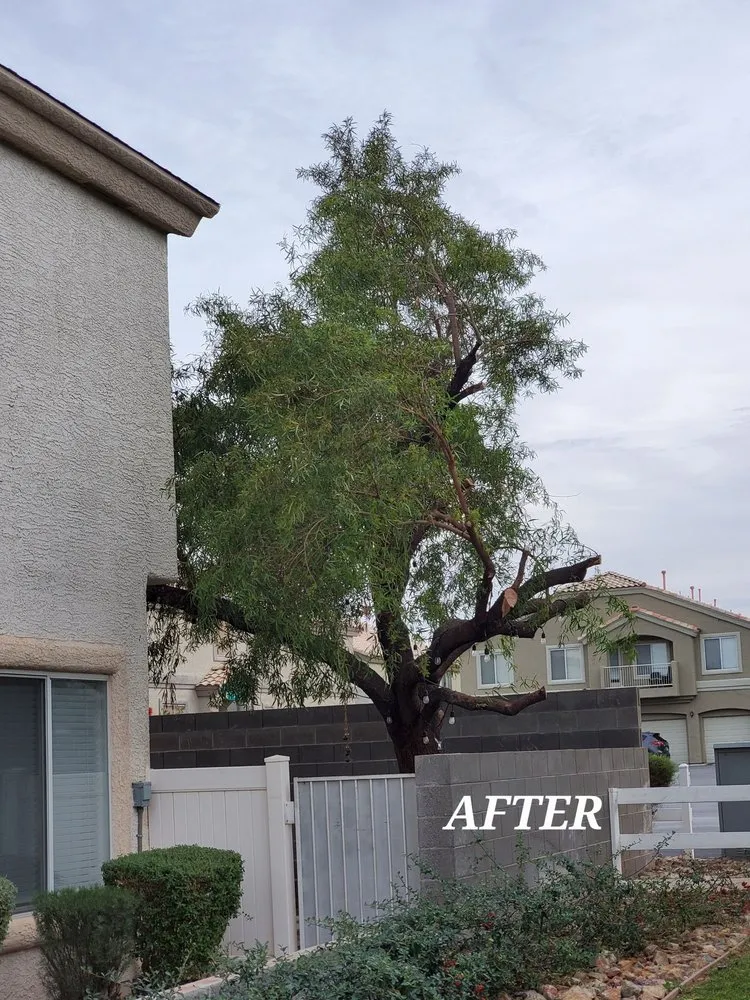 Top-rated residential landscaping experts serving North Las Vegas, NV - Fierros Services