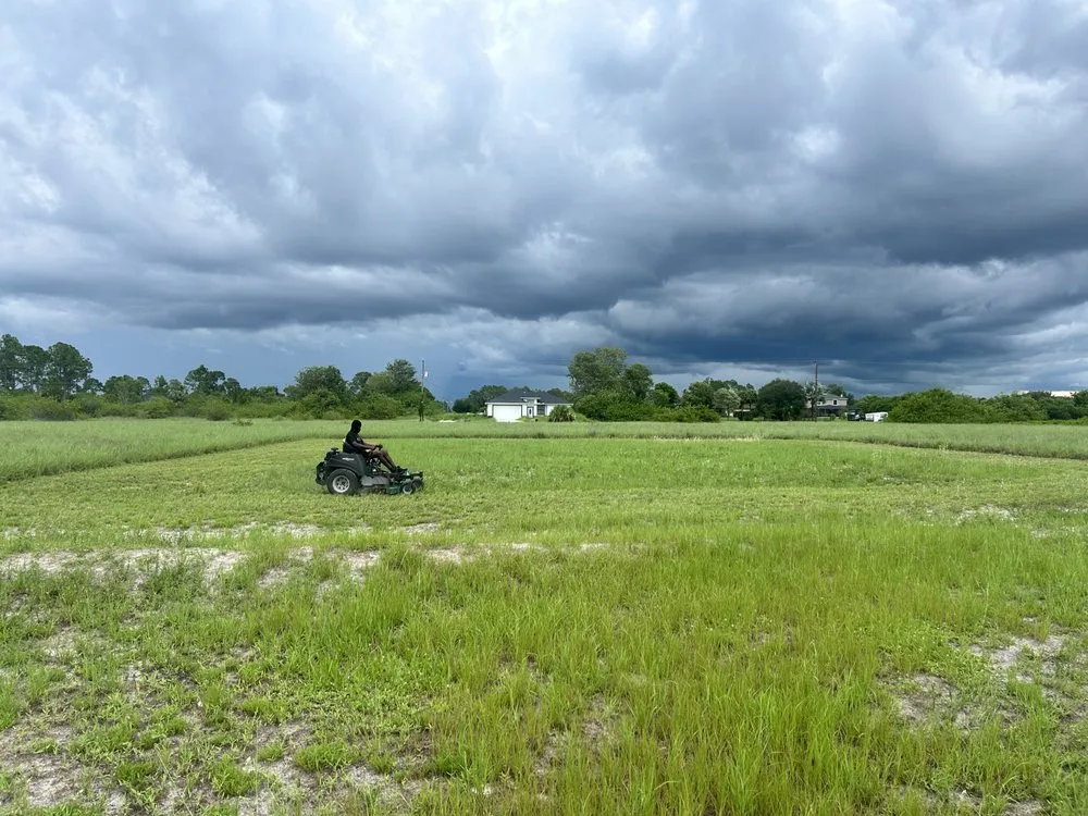 Reliable landscape installation for outdoor upgrades in Lehigh Acres, FL by Fifis Landscaping