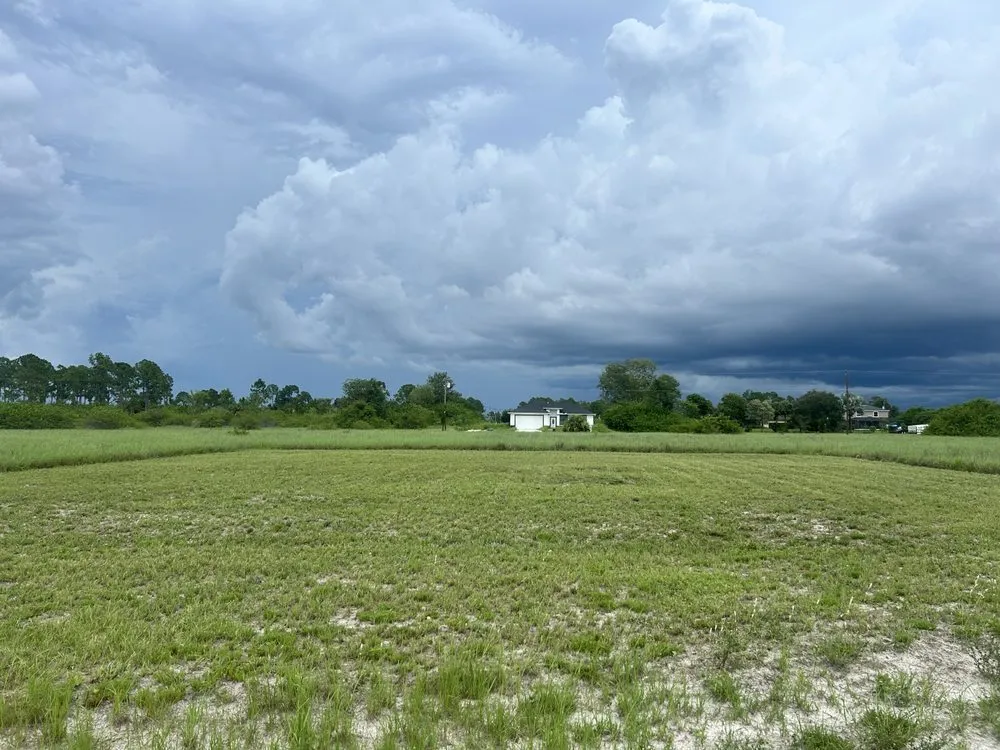 Custom landscape design in Lehigh Acres, FL - Fifis Landscaping