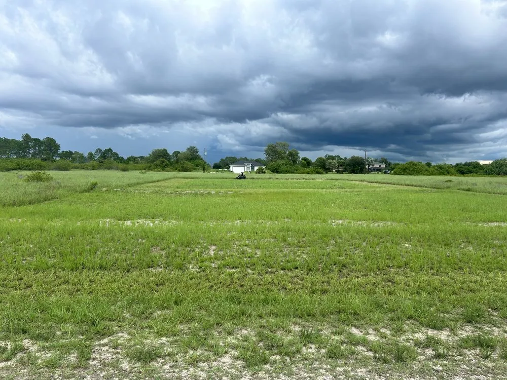 Custom landscape installation experts serving Lehigh Acres, FL - Fifis Landscaping