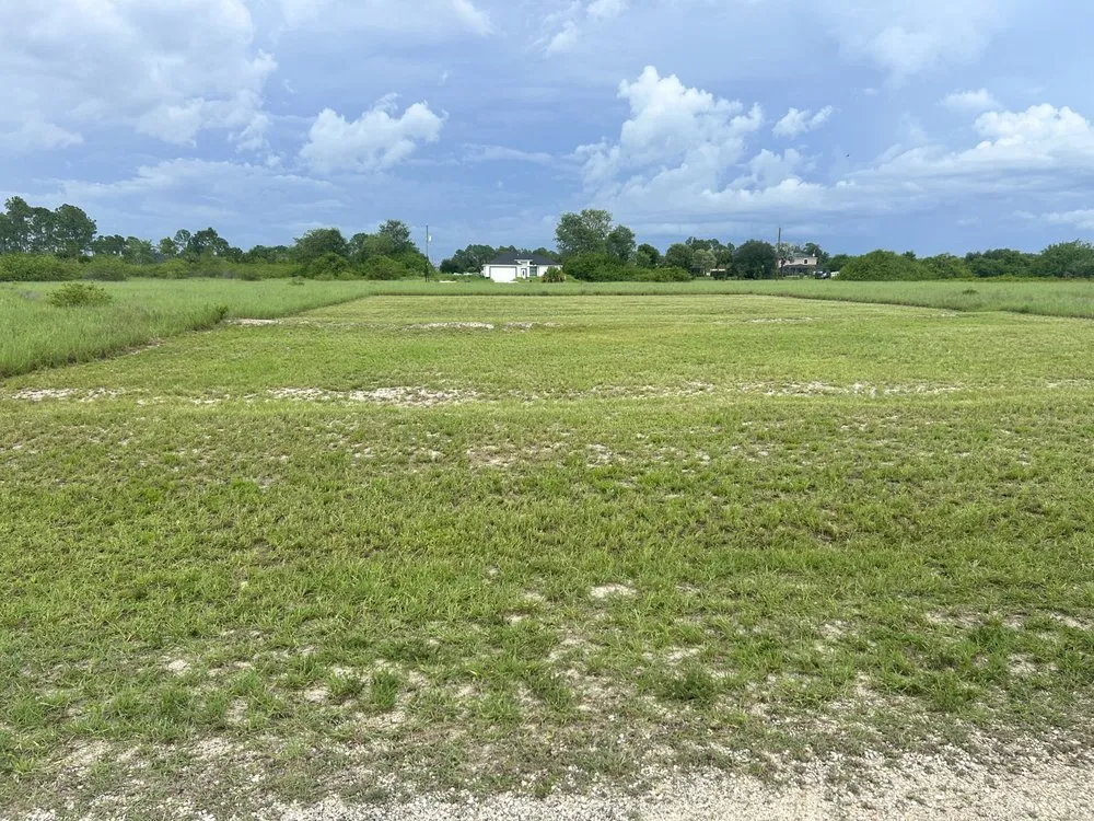 Expert yard maintenance for year-round maintenance across Lehigh Acres, FL - Fifis Landscaping