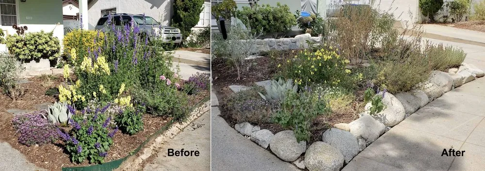 Custom residential landscaping in Pasadena, CA - Fifth Element Landscape