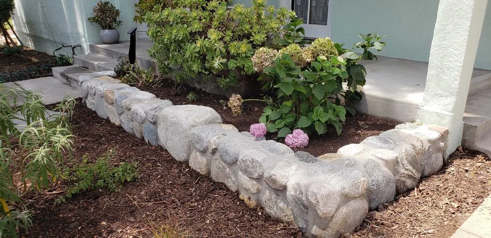 Local yard cleanup service in Pasadena, CA - Fifth Element Landscape