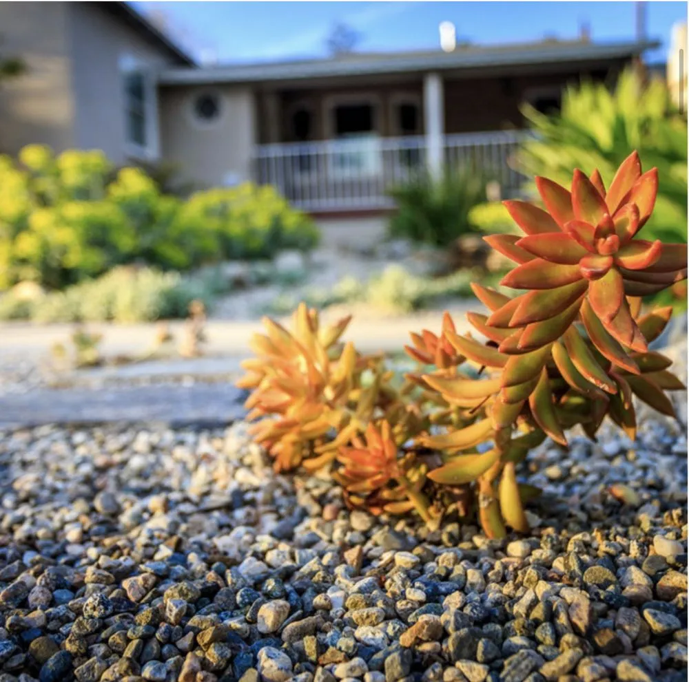 Affordable landscape installation experts serving Pasadena, CA - Fifth Element Landscape