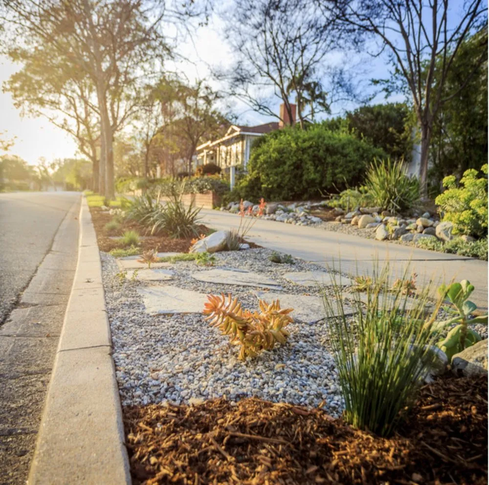 Trusted residential landscaping in Pasadena, CA - Fifth Element Landscape