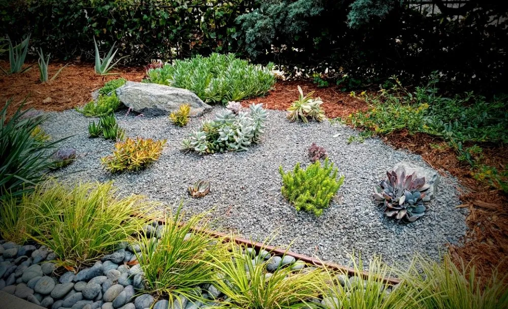 Expert landscaping services in Pasadena, CA - Fifth Element Landscape