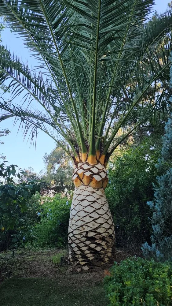 Affordable landscape design experts serving Pasadena, CA - Fifth Element Landscape