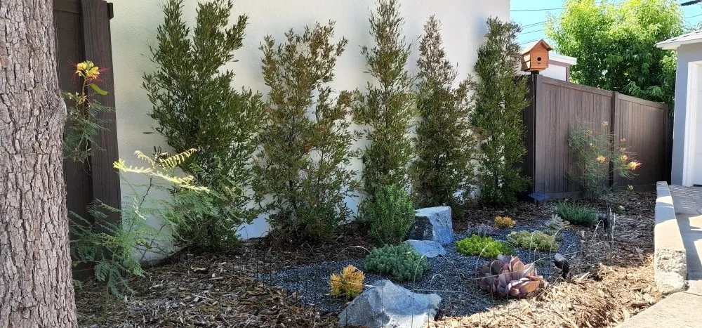 Professional residential landscaping in Pasadena, CA - Fifth Element Landscape
