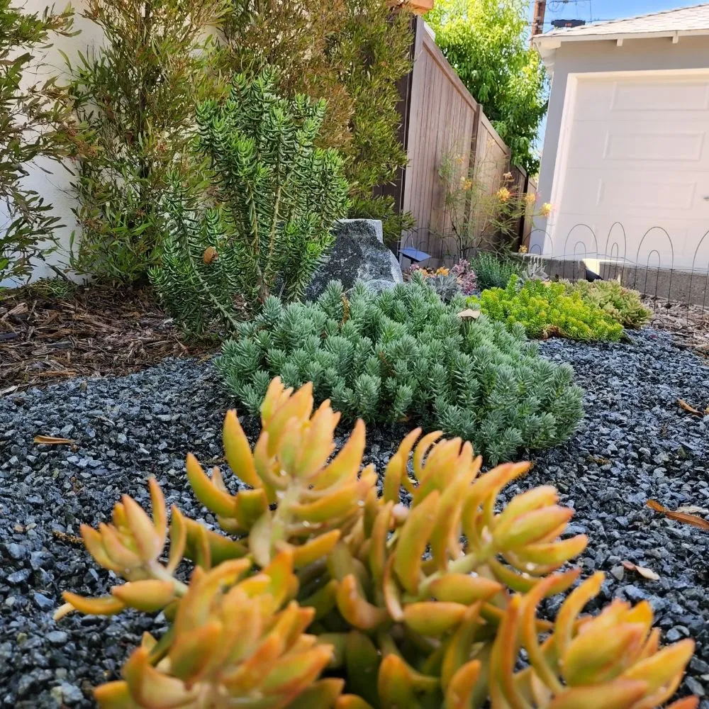 Custom landscape design experts serving Pasadena, CA - Fifth Element Landscape