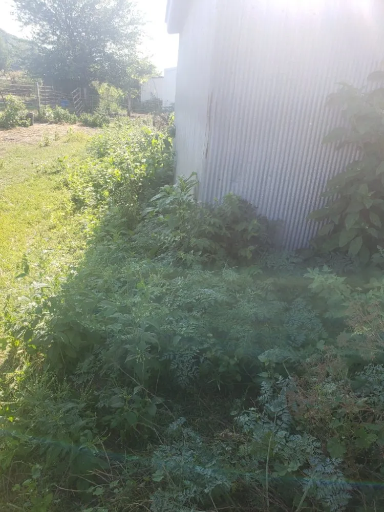 Trusted residential landscaping in Rock Island, IL - Fifty Star Lawn Care Service