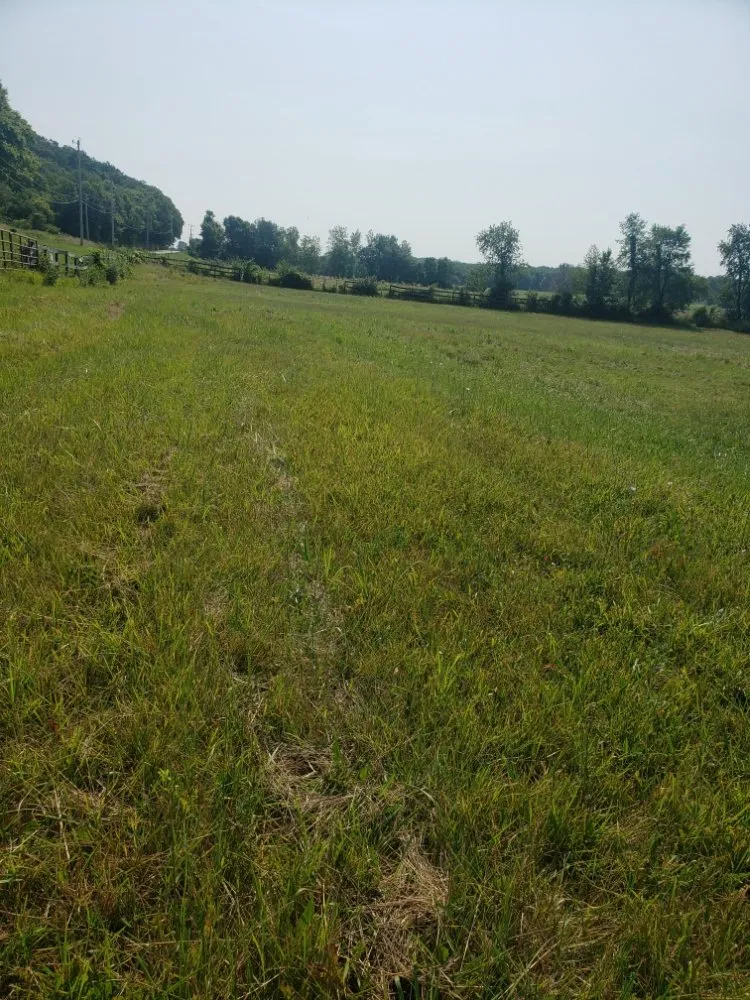 Custom garden landscaping in Rock Island, IL by Fifty Star Lawn Care Service