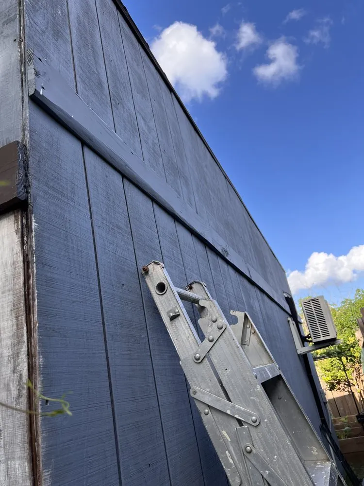 Trusted yard maintenance in Lakeland, FL - Fig And Fern