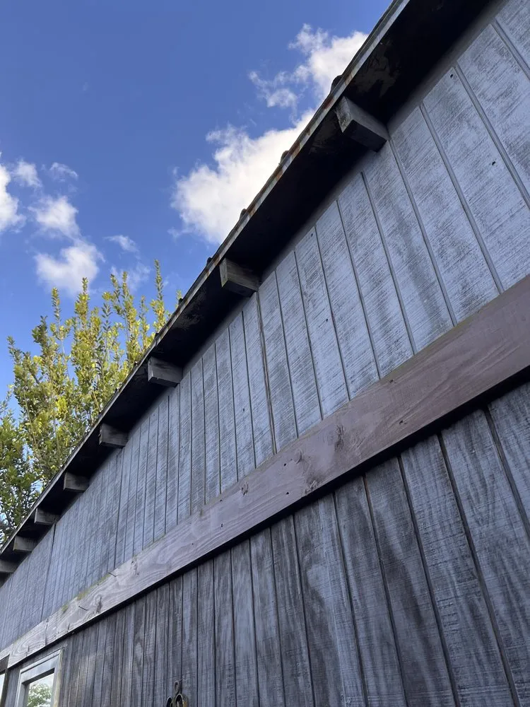 Trusted outdoor landscaping in Lakeland, FL by Fig And Fern