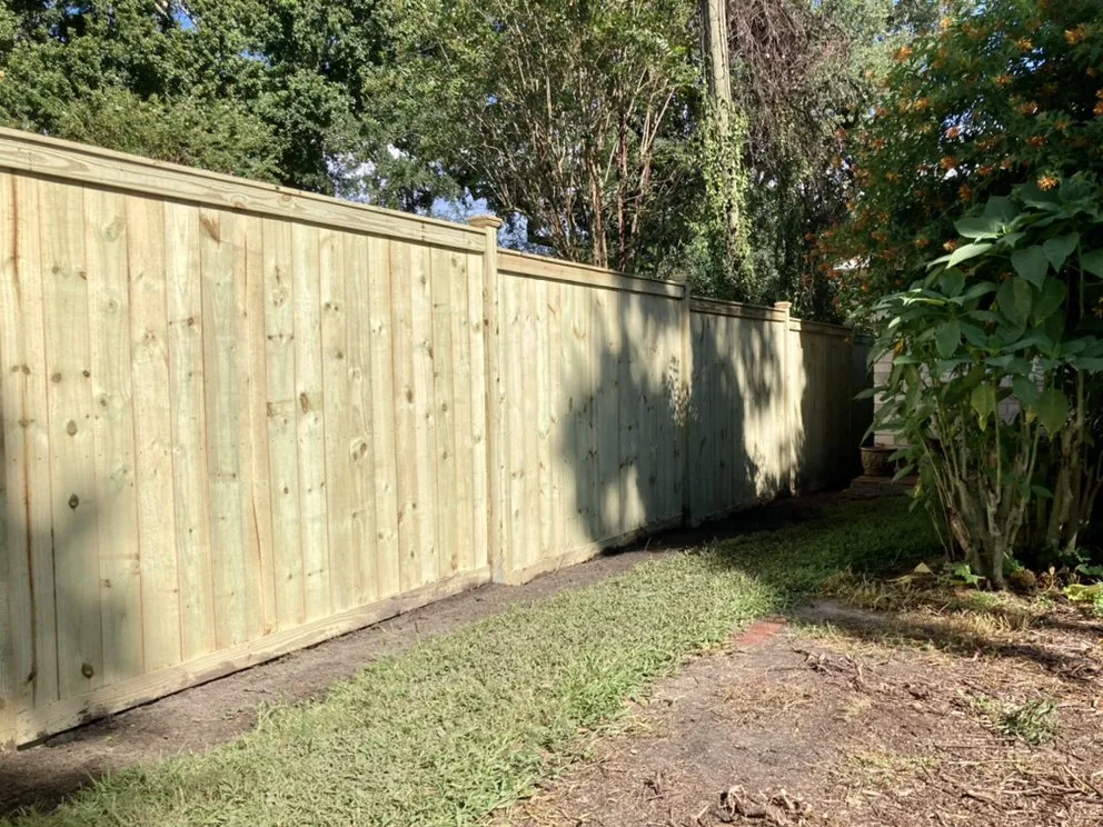 Reliable landscape design in Lakeland, FL - Fig And Fern