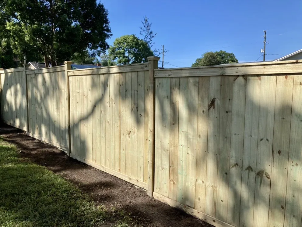 Affordable lawn mowing service in Lakeland, FL by Fig And Fern