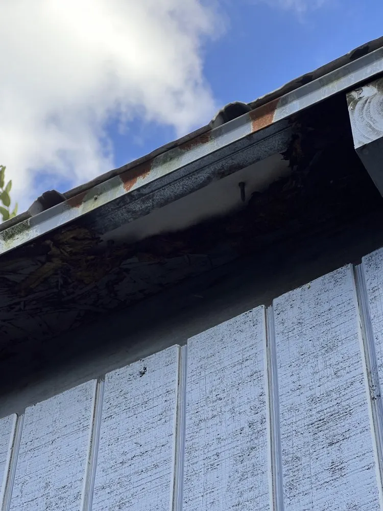 Custom lawn mowing service near you across Lakeland, FL - Fig And Fern