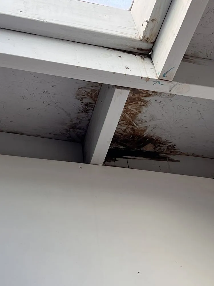 Custom landscaping services for residential properties across Lakeland, FL - Fig And Fern