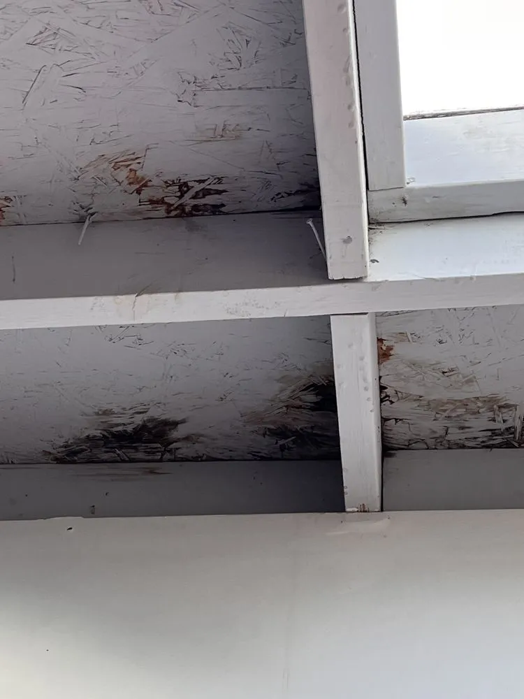 Expert landscape installation for outdoor upgrades across Lakeland, FL - Fig And Fern