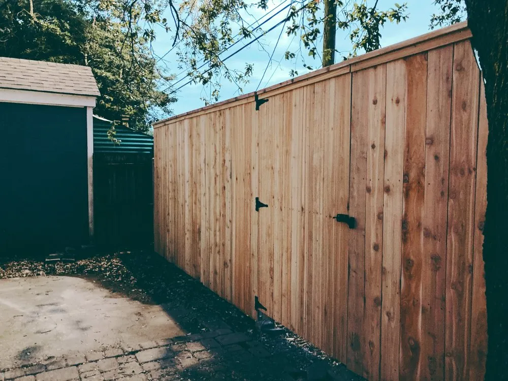 Custom yard cleanup service in Lakeland, FL by Fig And Fern