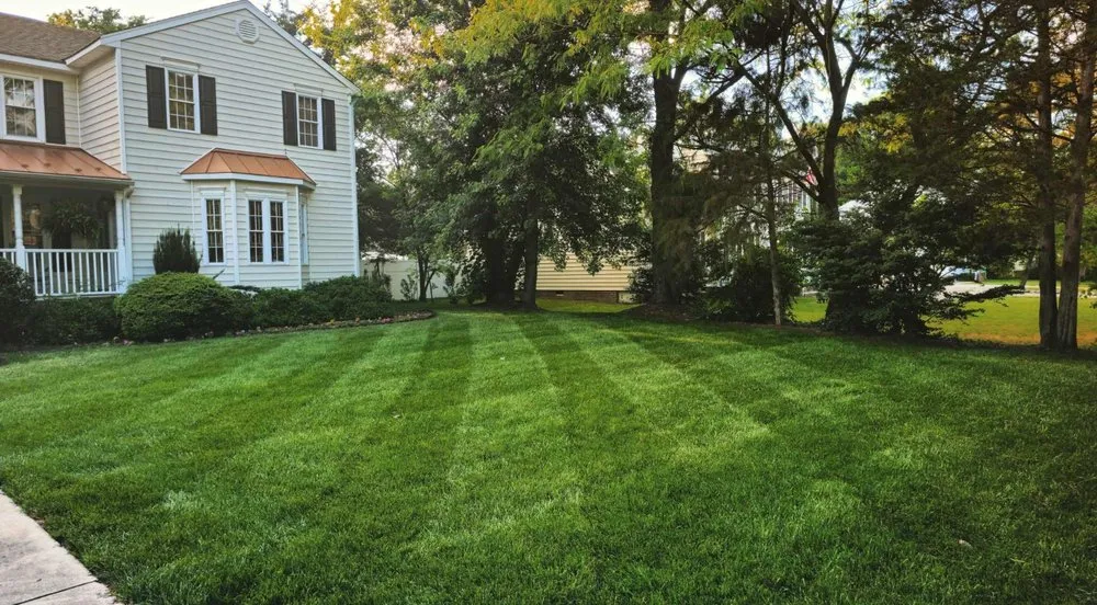 Trusted lawn mowing service with custom design in Glen Allen, VA by Fig Family Lawn and Landscaping