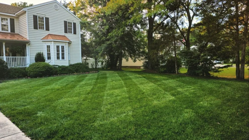 Reliable garden landscaping for homes in Glen Allen, VA by Fig Family Lawn and Landscaping