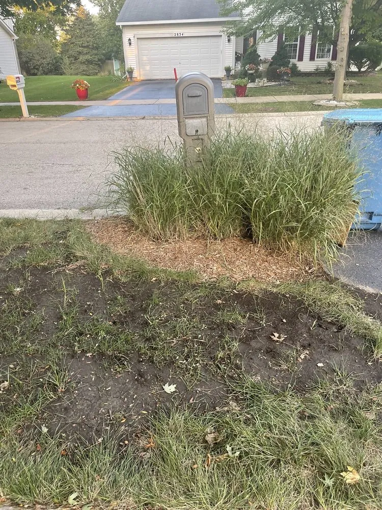 Custom yard cleanup service for outdoor upgrades across Oswego, IL - Figgins Trees & Turf