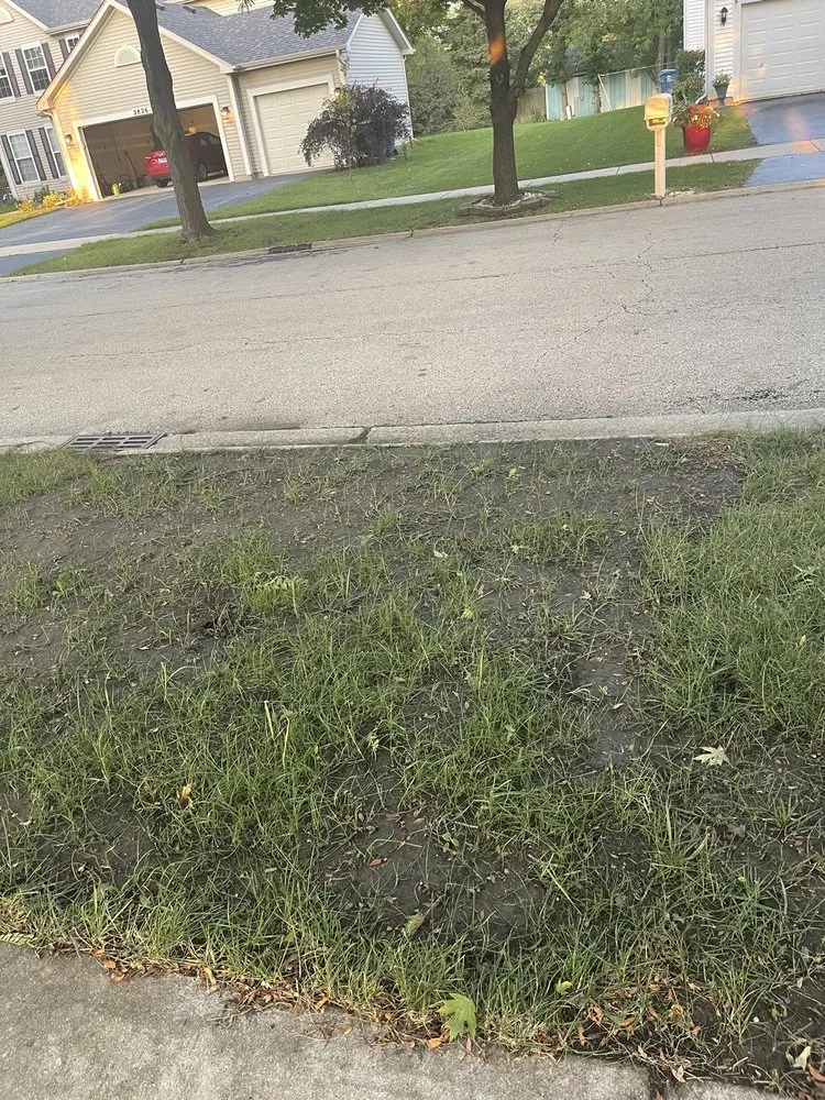 Affordable landscaping services in Oswego, IL by Figgins Trees & Turf