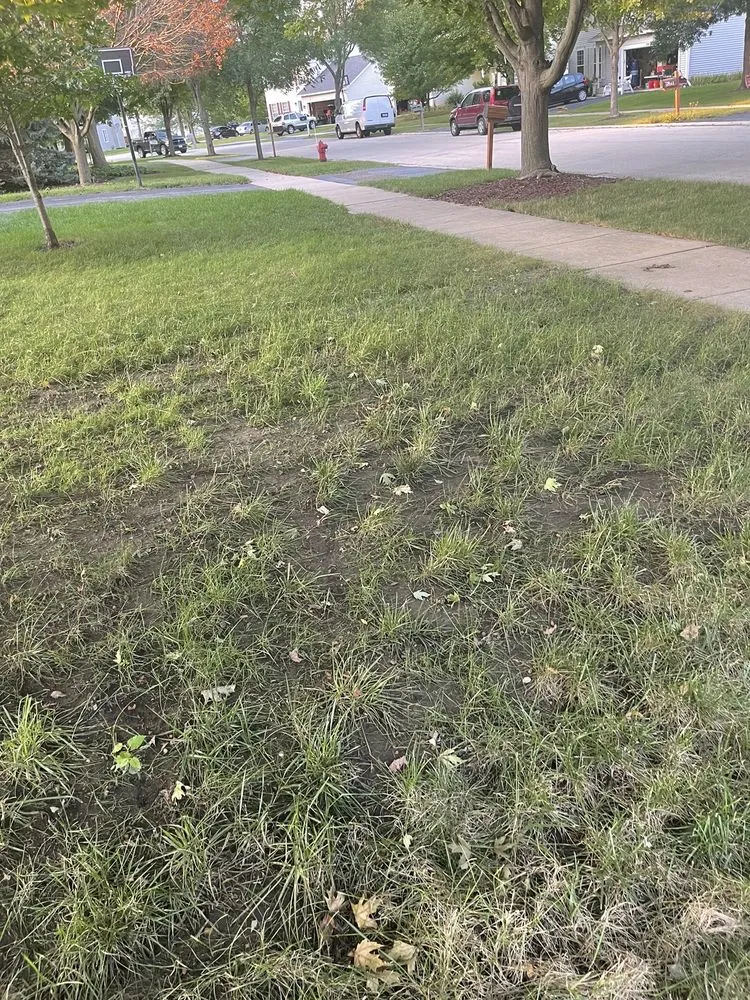 Local outdoor landscaping in Oswego, IL by Figgins Trees & Turf