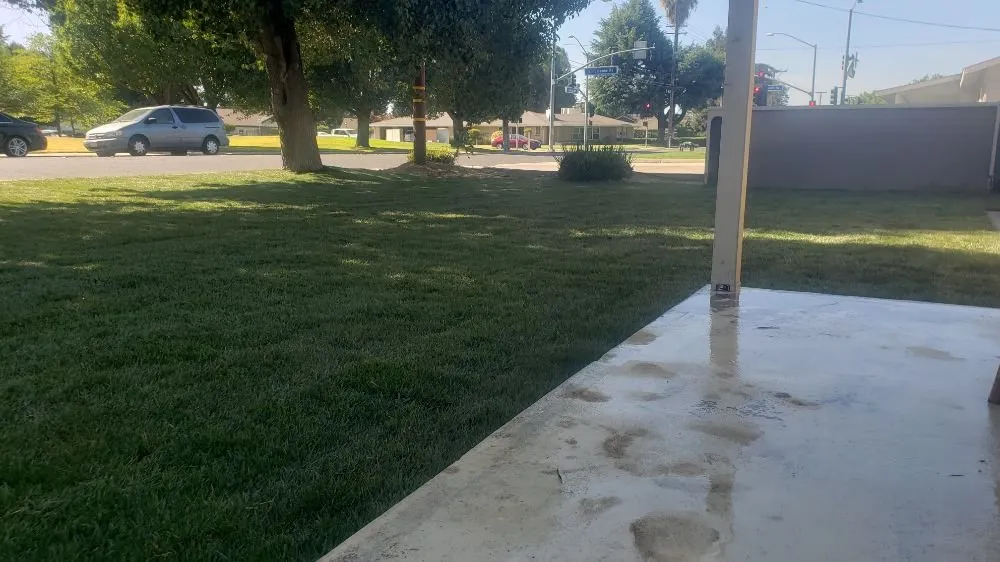 Trusted yard cleanup service in Modesto, CA - Figone Landscape Construction