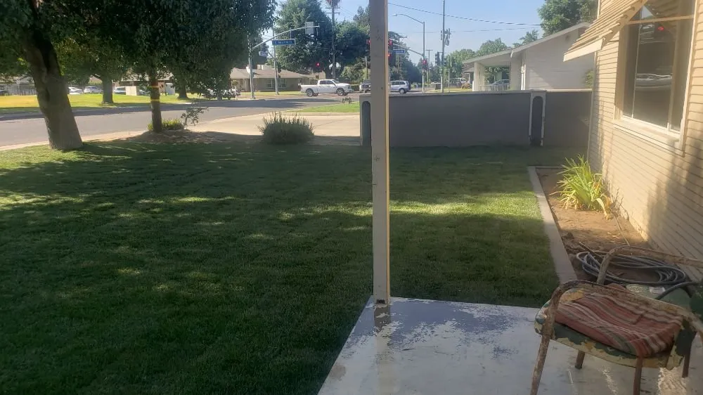 Expert yard maintenance in Modesto, CA by Figone Landscape Construction