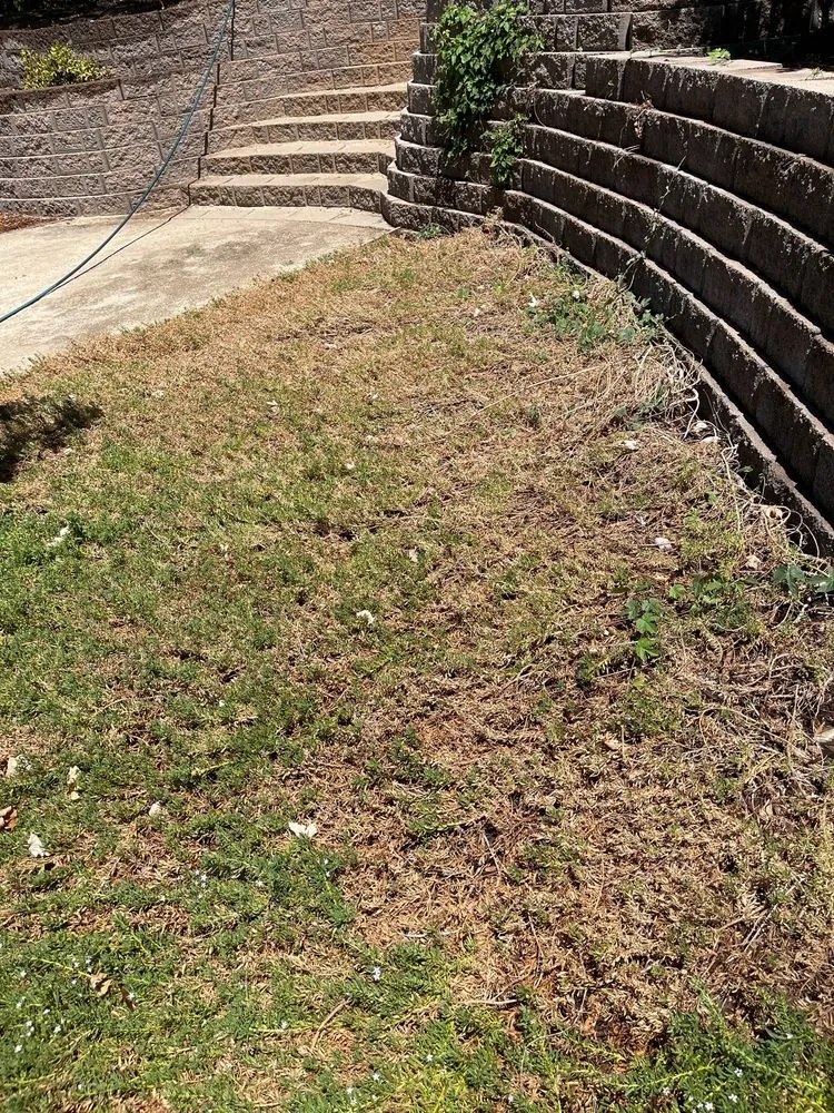 Local yard cleanup service with custom design across Loomis, CA - Figs Landscaping