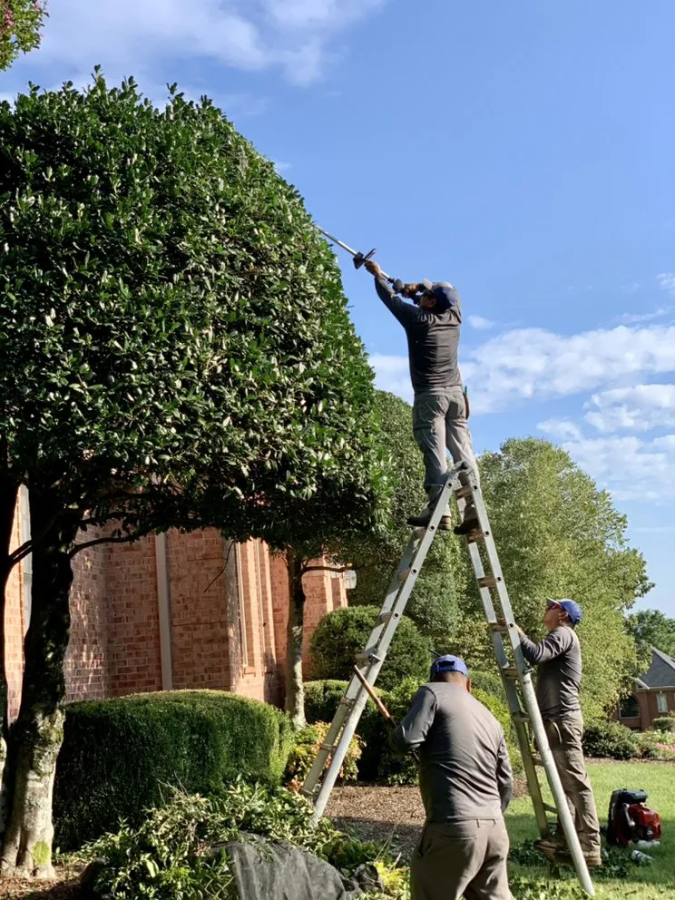 Custom landscape design in Franklin, TN by Figueroa Landscape