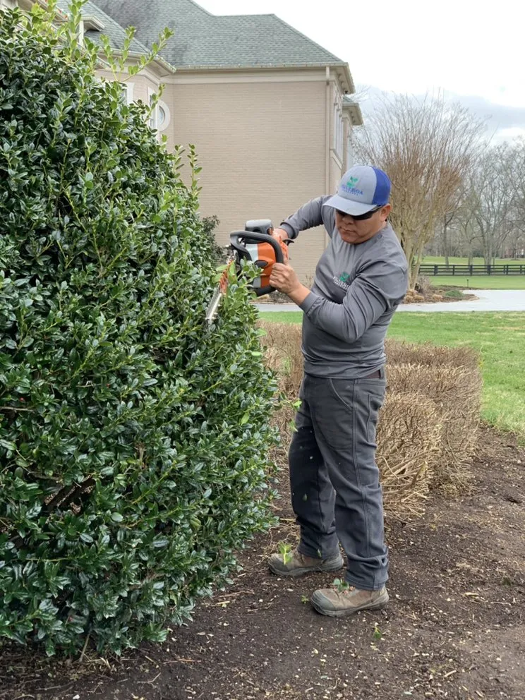 Custom lawn mowing service with custom design in Franklin, TN by Figueroa Landscape