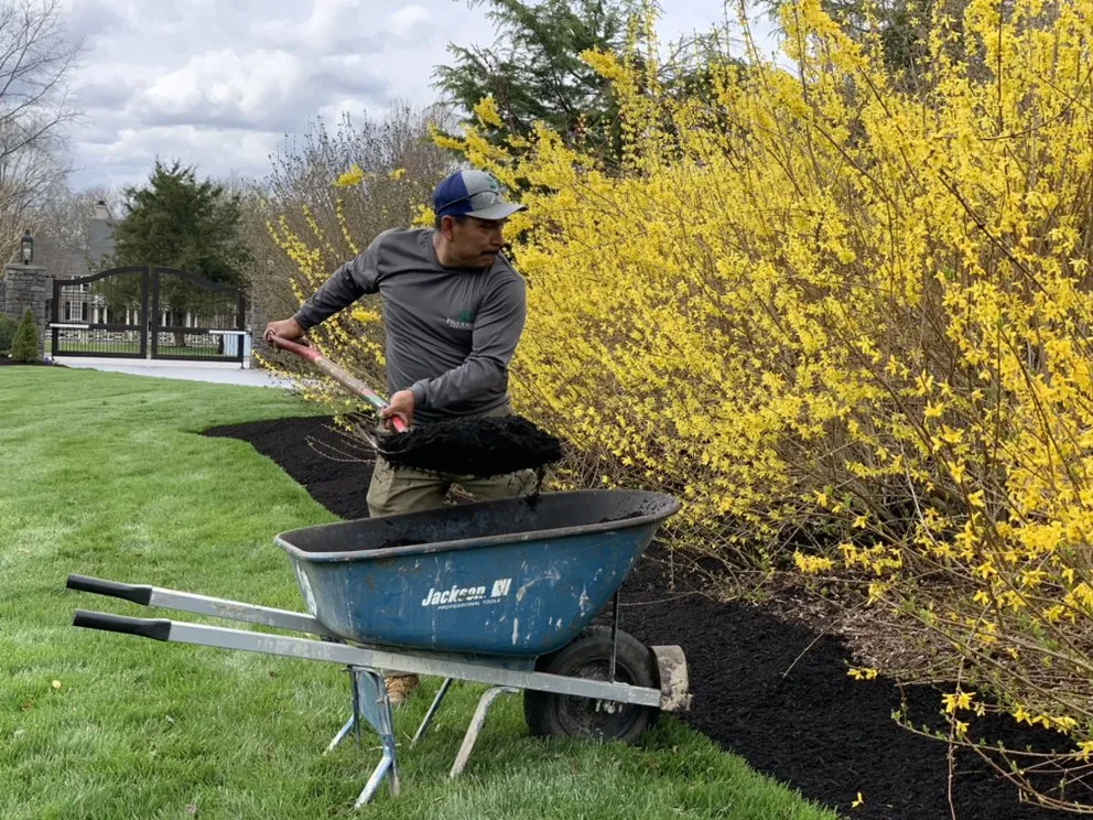 Professional landscape installation for homes across Franklin, TN - Figueroa Landscape