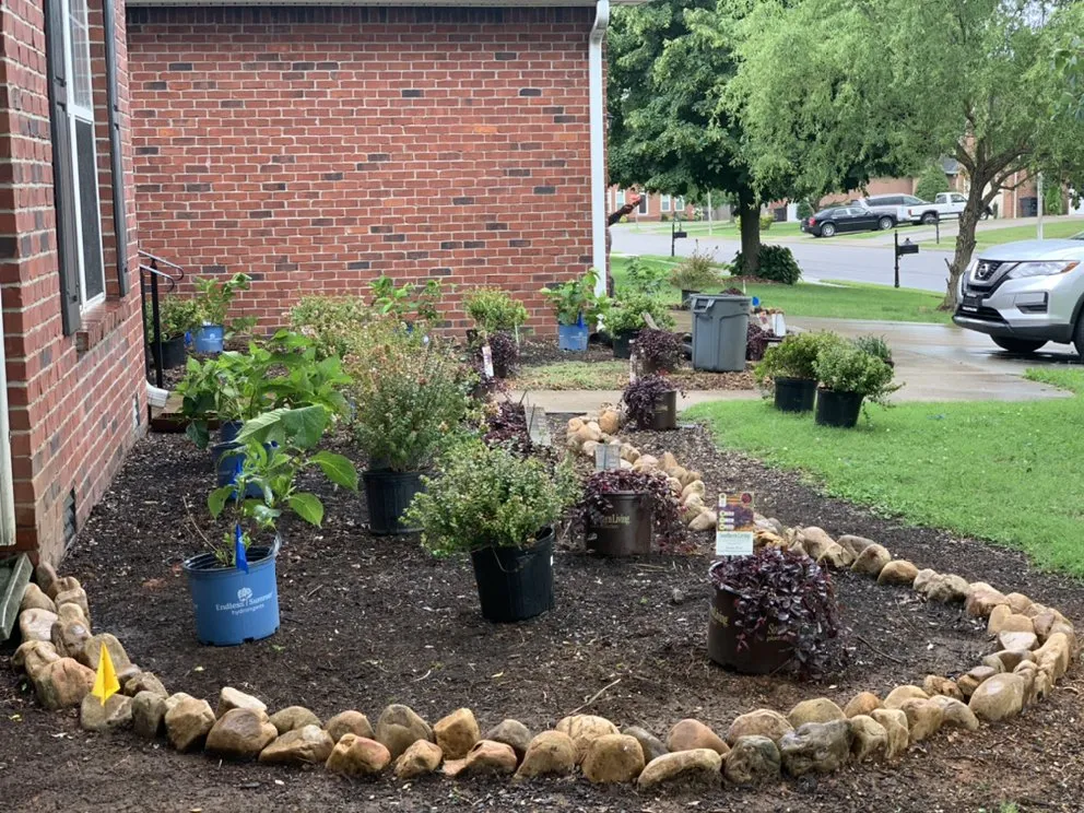 Expert yard cleanup service in Franklin, TN by Figueroa Landscape