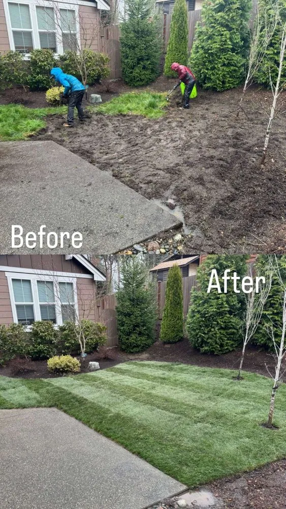 Expert yard maintenance for homes across Everett, WA - Figueroa Landscaping