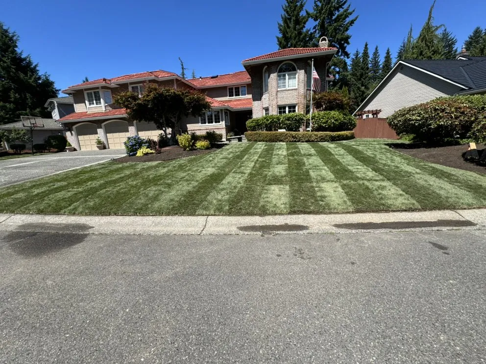 Expert yard maintenance for beautiful yards across Everett, WA - Figueroa Landscaping