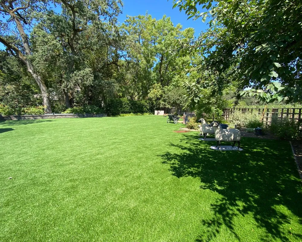 Local lawn mowing service for beautiful yards in Napa, CA by Figueroa Landscaping