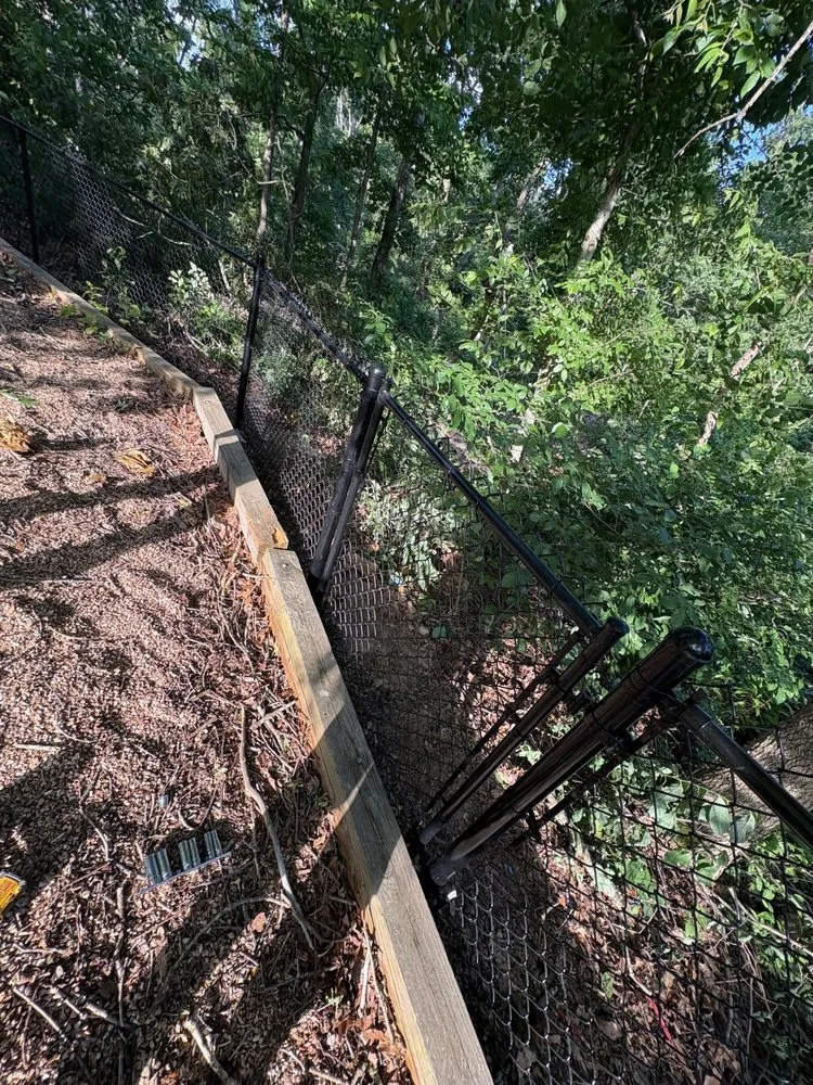 Top-rated yard cleanup service for year-round maintenance across Bethel Heights, AR - Figueroa’s Fencing